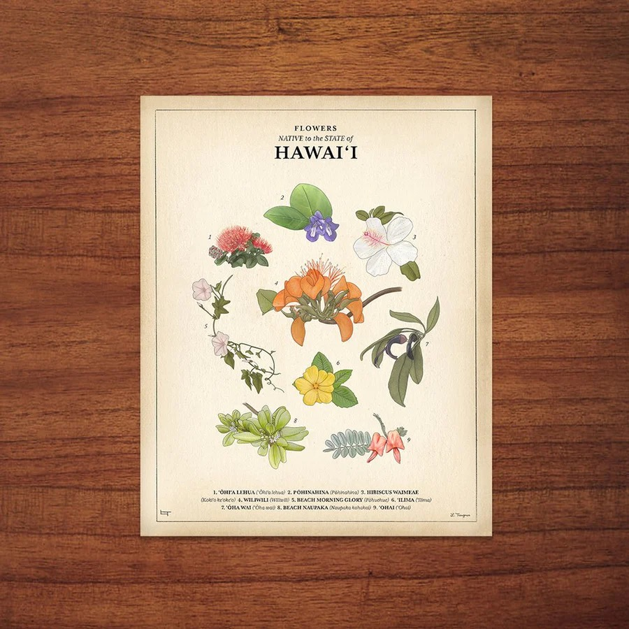 Art and Prints