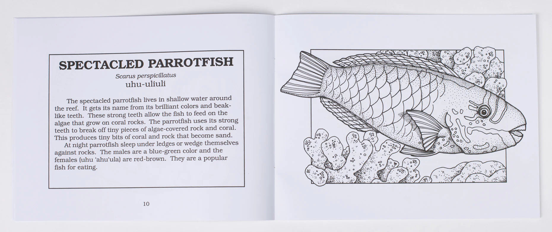 Fishes_Of_Hawaii_Spectacled_Pa