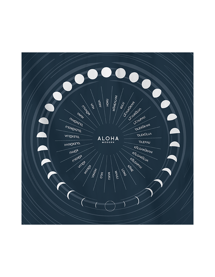 Beach Blankets – Aloha Modern