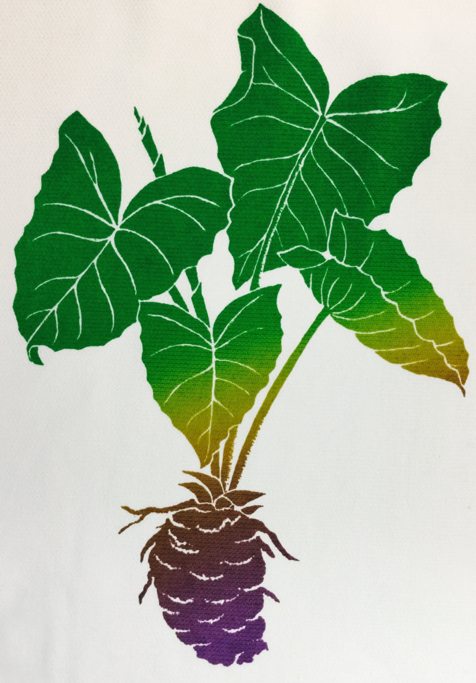 Janet Holaday Kitchen Towel – Nā Mea Hawaiʻi